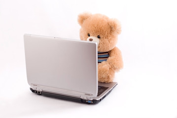 Teddy Bear is working on a computer