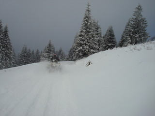 Obraz premium sulla neve