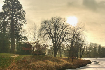 Winterlandschaft (Putbus auf Rügen)