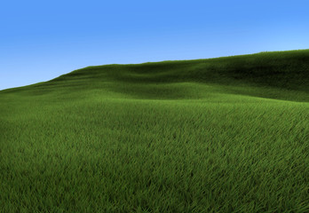 Green hill and clear sky background