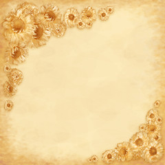 Background dried flowers