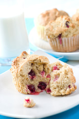 Cranberry muffins