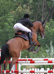 Springreiterin