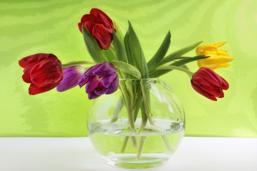Tulpen in Glasvase