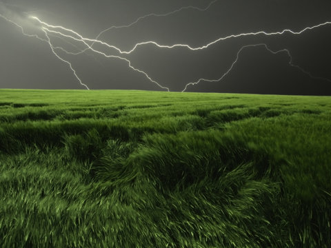Thunderstorm over the field