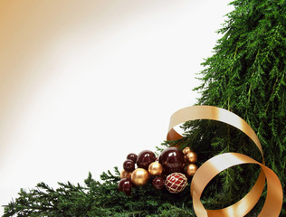 Christmas bough with gold ribbon