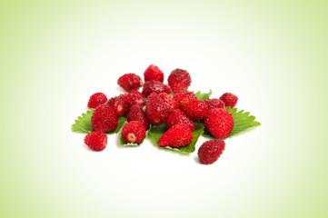 Wild strawberries