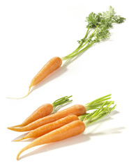 carrot gemüse