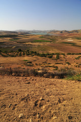 Moroccan Agriculture