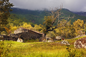 Campos de Gavilanes