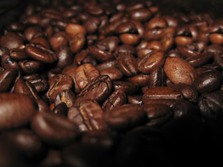 Coffee Beans