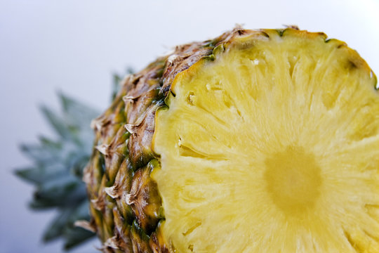 Piña Images – Browse 24,678 Stock Photos, Vectors, and Video | Adobe Stock