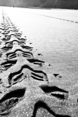 Reifenspuren im Sand