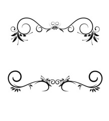 floral element -  vector