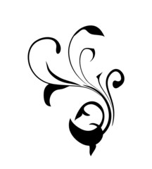 floral element -  vector