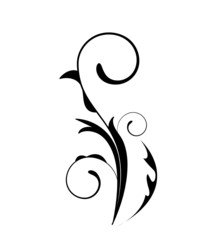 floral element -  vector