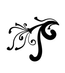 floral element -  vector