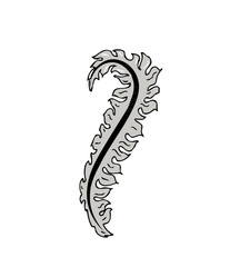 floral element -  vector