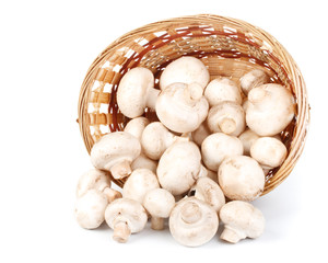 Fresh mushrooms in a basket