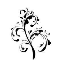 floral element -  vector