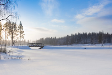 Winter landscape