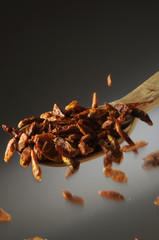 Peperoncino secco