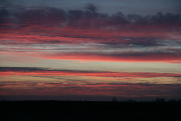 lever du soleil sur les vignobles de Pessac Léognan, Aquitaine