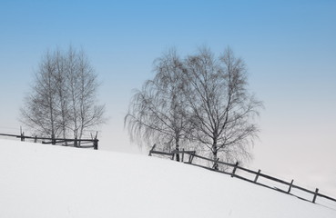 Winter landscape and trees