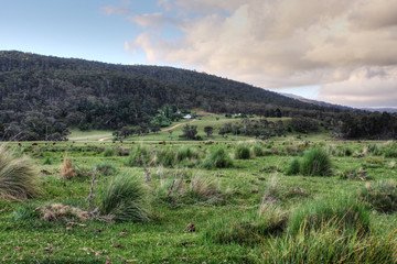 Snowy Mountains Horse Trekking Adventure