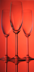 Wine glass.