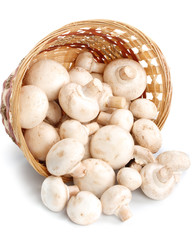 Fresh mushrooms in a basket