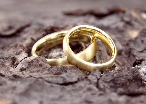Wedding Rings 4
