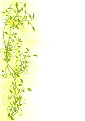 Green Branches and leaves