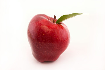 apple on a white background