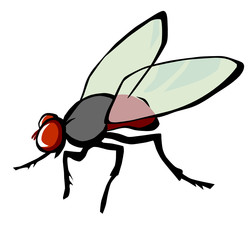 Fliege