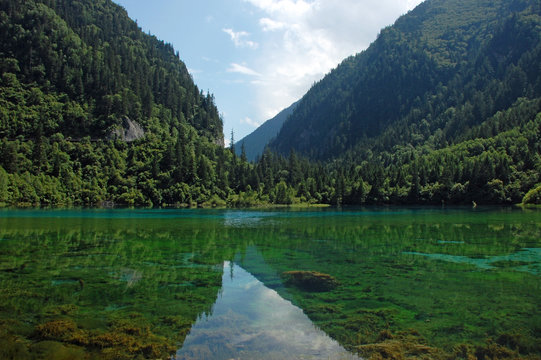 Mirror Lake In Jiuzhaigou Valley (Sichuan, China)