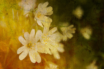 vintage flowers