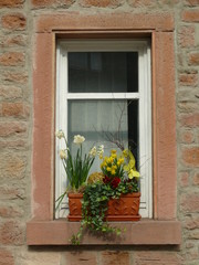 Fototapeta na wymiar Fenster mit Osterschmuck