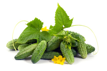 cucumbers