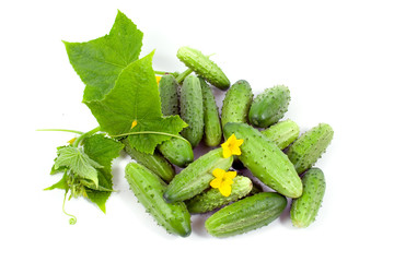 cucumbers