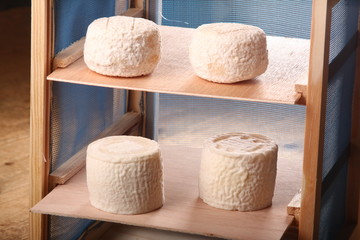 fromages de chèvre