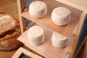 fromages de chèvre
