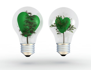 corazones verdes © juanjo