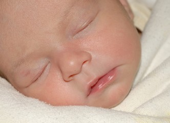 bebe