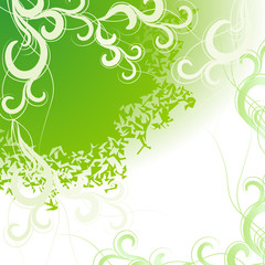 Fototapeta na wymiar spring green abstract