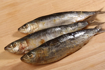 sardines salées