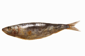 sardine salée