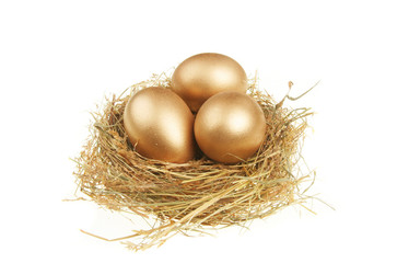 Golden eggs in nest