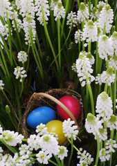Easter basket hidden in the garden