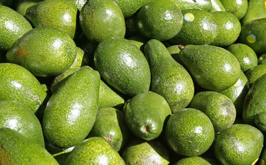 Avocadoes on the market